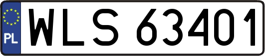 WLS63401