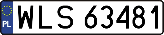WLS63481