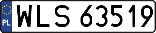 WLS63519