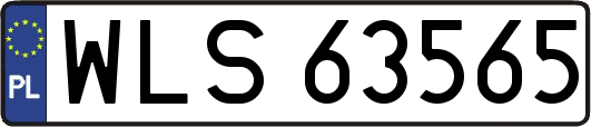 WLS63565