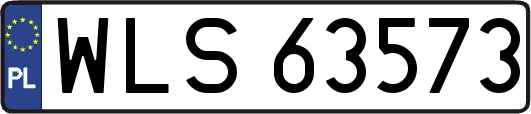 WLS63573