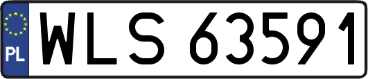 WLS63591