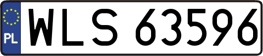 WLS63596