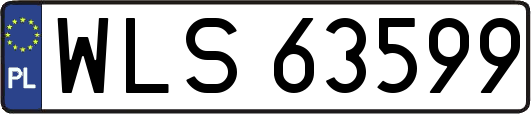 WLS63599