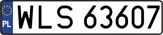 WLS63607
