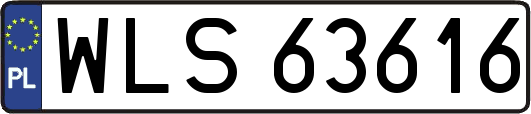 WLS63616