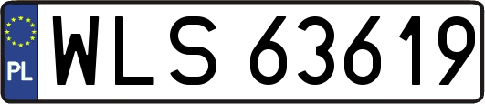 WLS63619