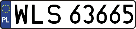 WLS63665