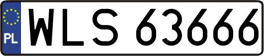 WLS63666