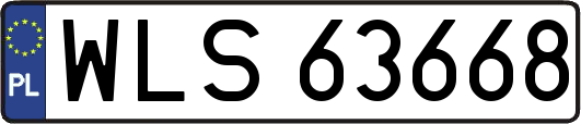 WLS63668