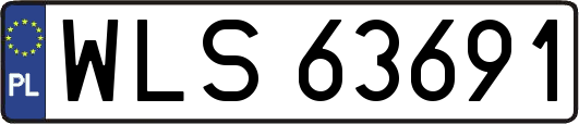 WLS63691