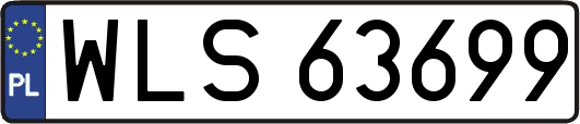 WLS63699