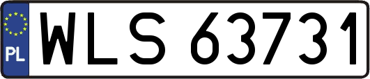 WLS63731