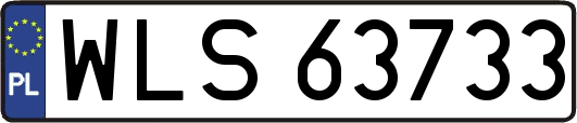 WLS63733