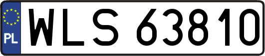 WLS63810