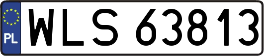 WLS63813
