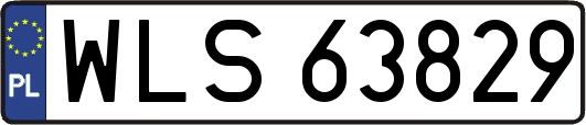 WLS63829