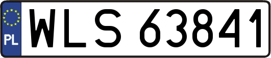 WLS63841