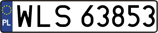 WLS63853