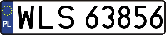 WLS63856