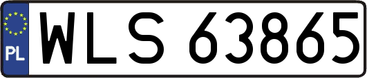 WLS63865