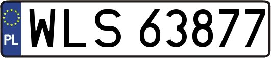 WLS63877