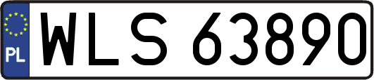 WLS63890