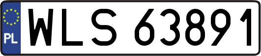 WLS63891