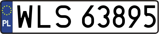 WLS63895
