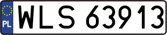 WLS63913