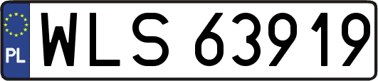 WLS63919
