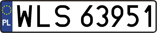 WLS63951