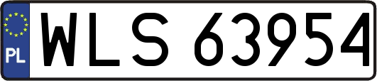 WLS63954