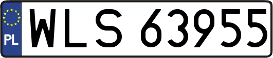 WLS63955