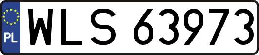 WLS63973