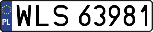 WLS63981