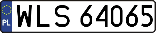 WLS64065