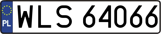 WLS64066