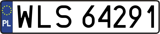 WLS64291