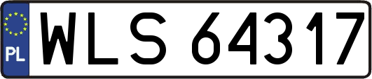 WLS64317
