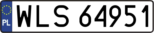 WLS64951
