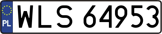 WLS64953