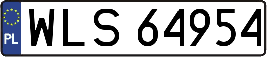 WLS64954