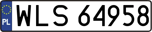 WLS64958