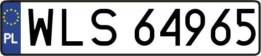 WLS64965