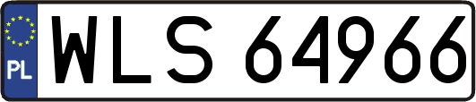 WLS64966