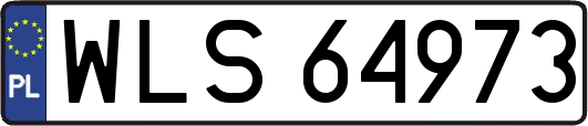 WLS64973