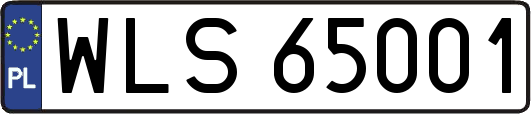 WLS65001