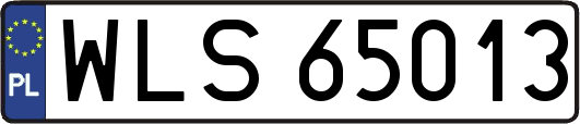 WLS65013