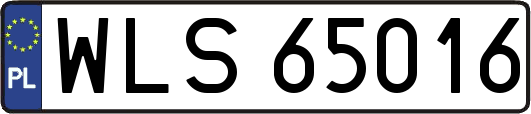 WLS65016